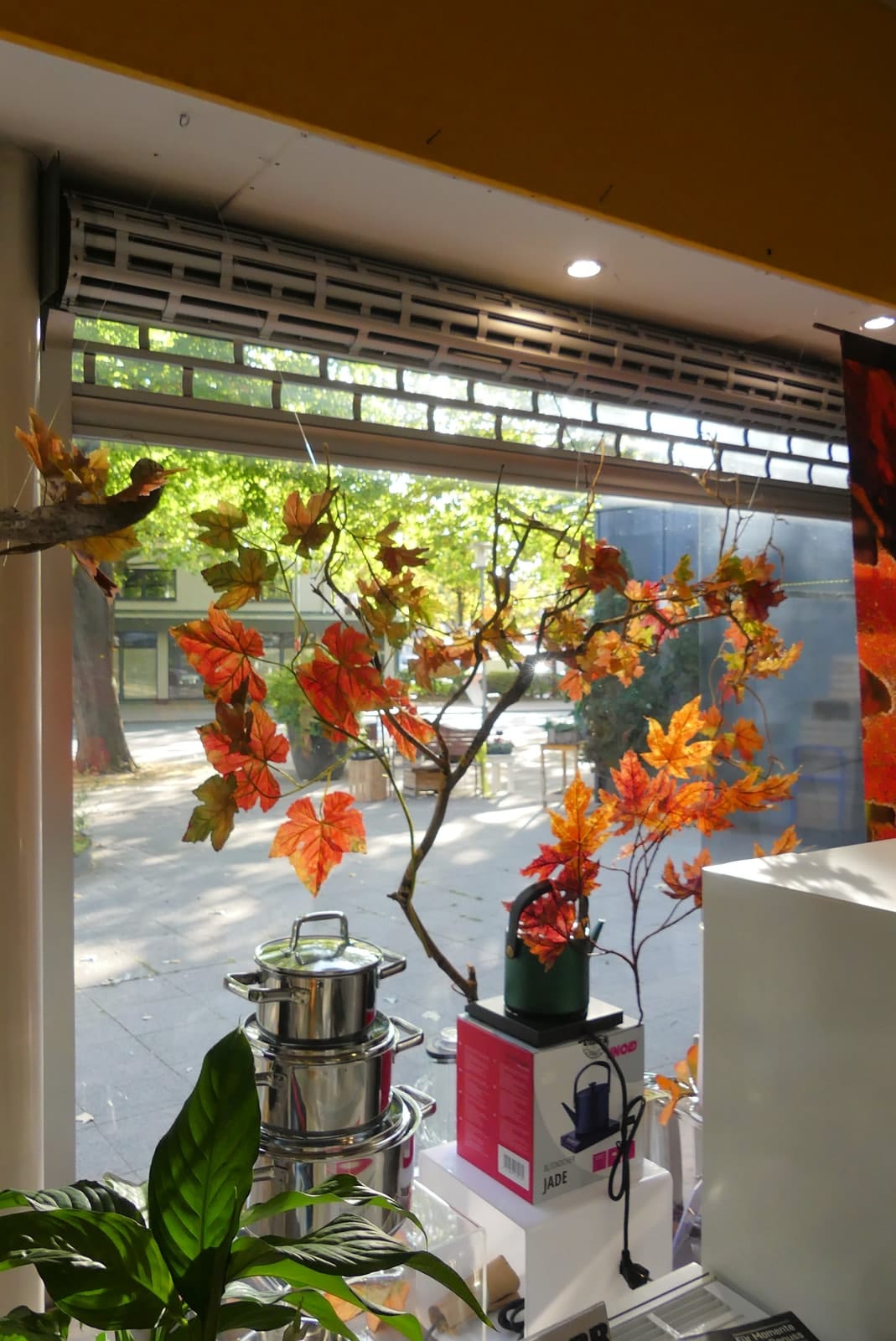 Herbstliche Dekoration mit Laub und Töpfen im Schaufenster