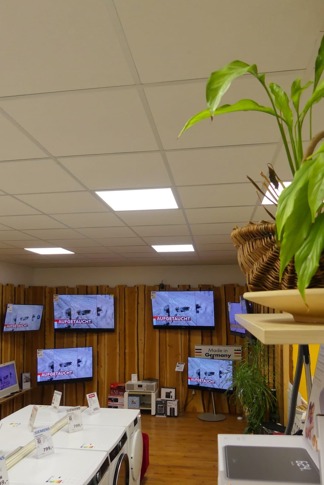 Blick über Waschmaschinen und eine Zimmerpflanze hinweg auf die Fernsehwand aus Holz